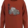 NAME IT Langarmshirt NMMNIKO , Organic Cotton 11