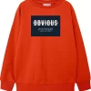 NAME IT Sweatshirt NKMVION 8