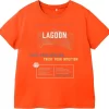 NAME IT T-Shirt NKMVAGNO 13