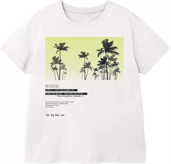 NAME IT T-Shirt NKMVAGNO 1
