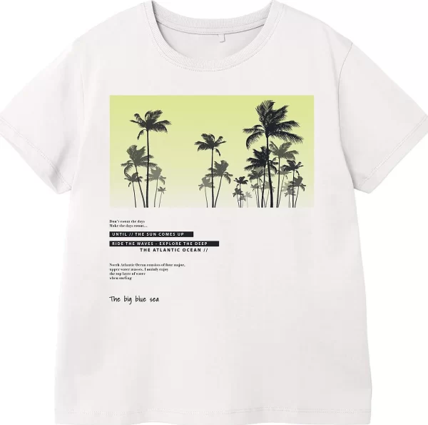 NAME IT T-Shirt NKMVAGNO Doppelpack 4