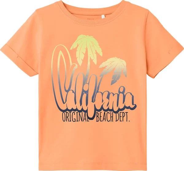 NAME IT T-Shirt NKMVUX 1