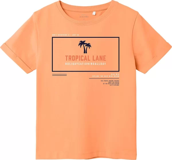 NAME IT T-Shirt NKMVUX 1
