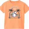 NAME IT T-Shirt NMMVAGNO 10